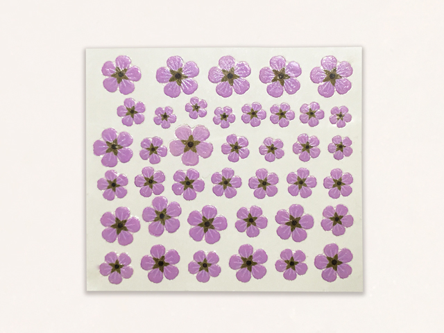 5枚花　紫