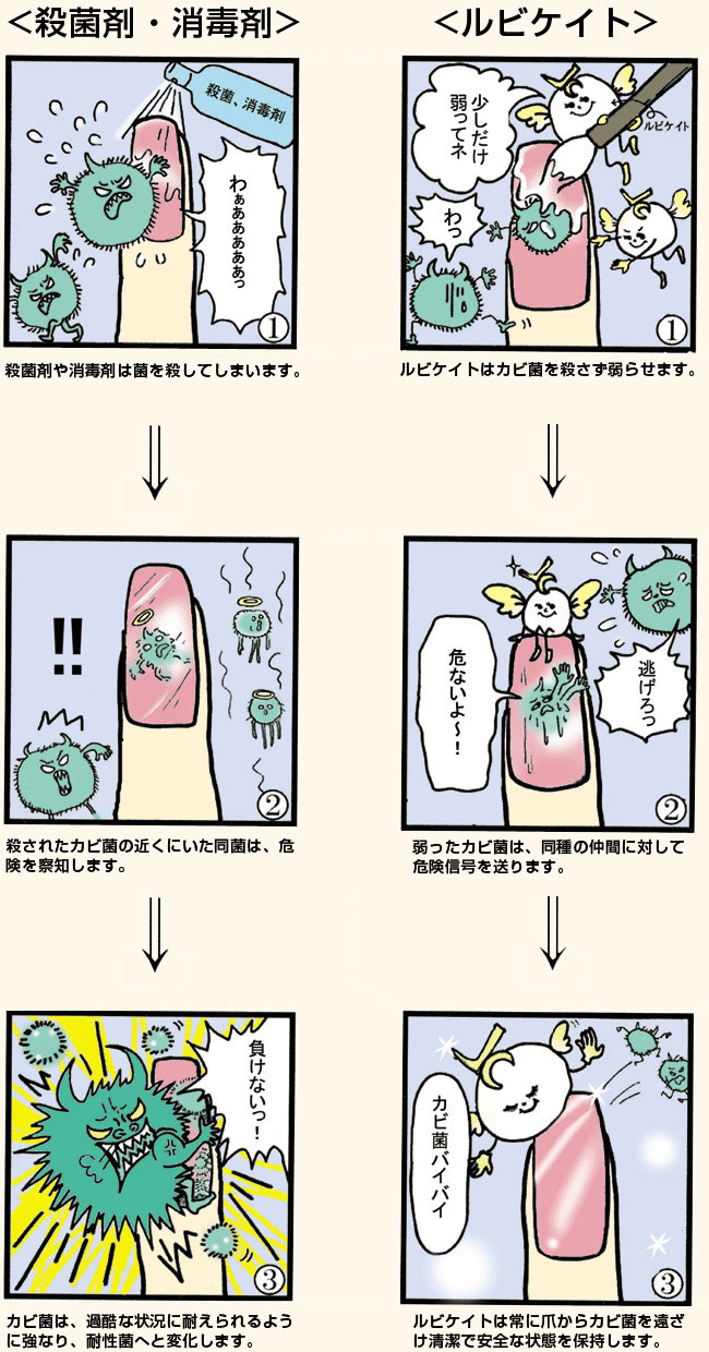ルビケイトと殺菌・消毒剤