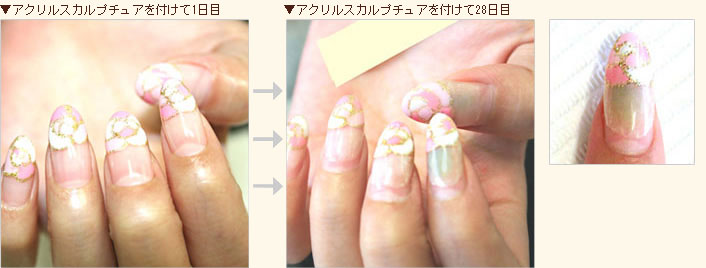 ルビケイトの効果実験